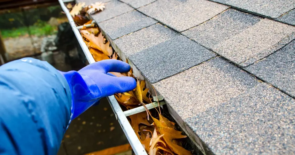 Cleaning roof gutter