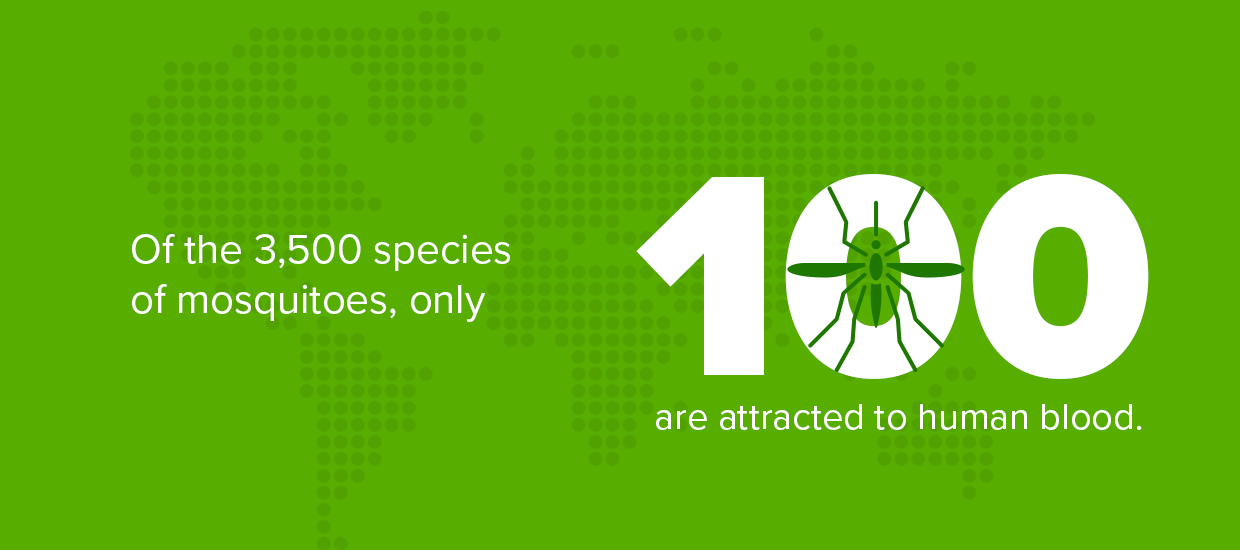 only 100 mosquitos species are attracted to blood