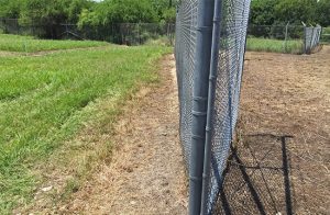 A chain-link fence with a cleared, brown, and dry area along its base, indicating vegetation control treatment.