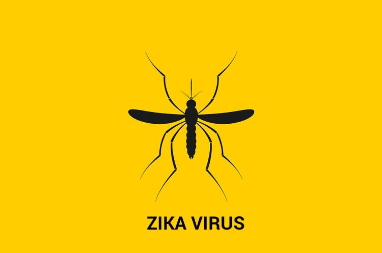 Helpful Tips to Prevent The Zika Virus