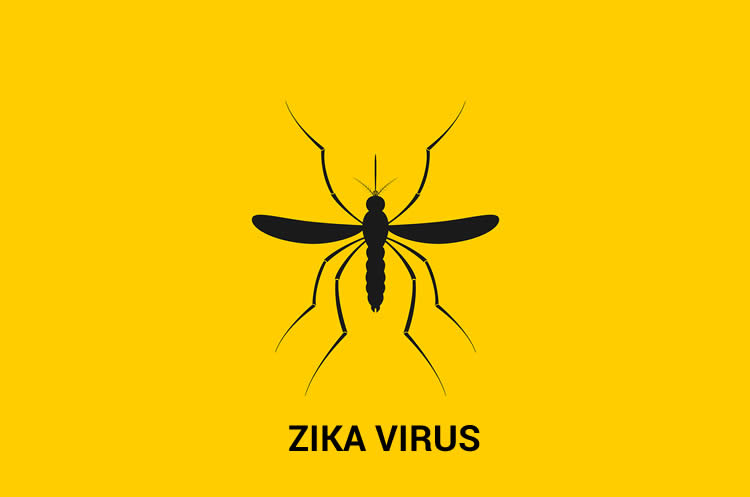 zika virus mosquito warning