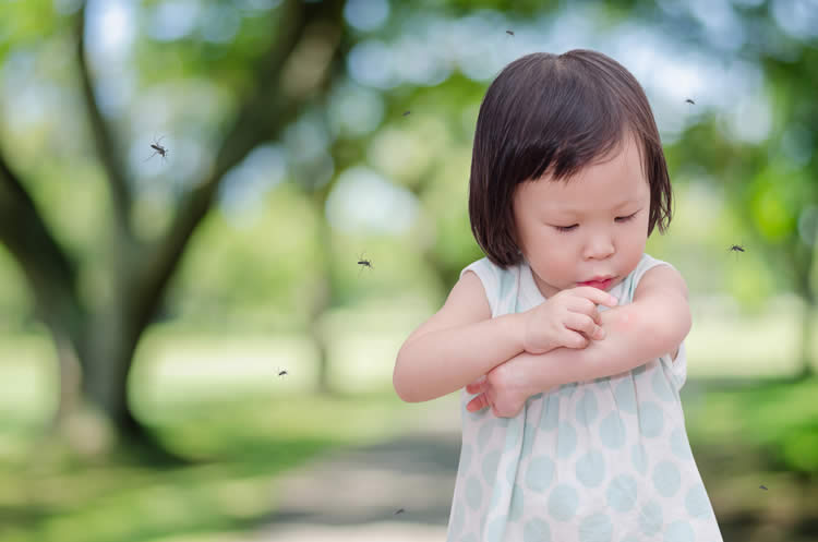 Mosquito Magnet Girl