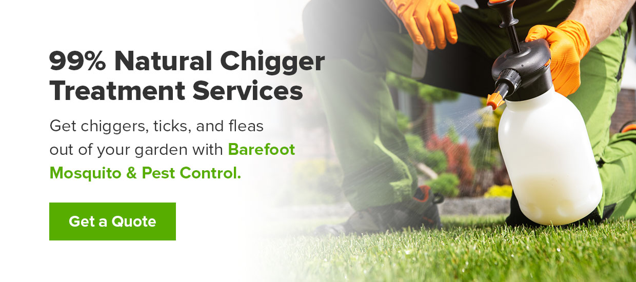contact barefoot for natural chigger prevention
