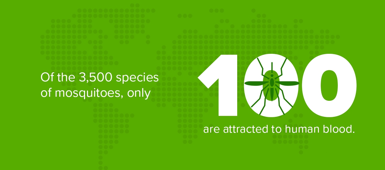 only 100 mosquitoes species are attracted to blood