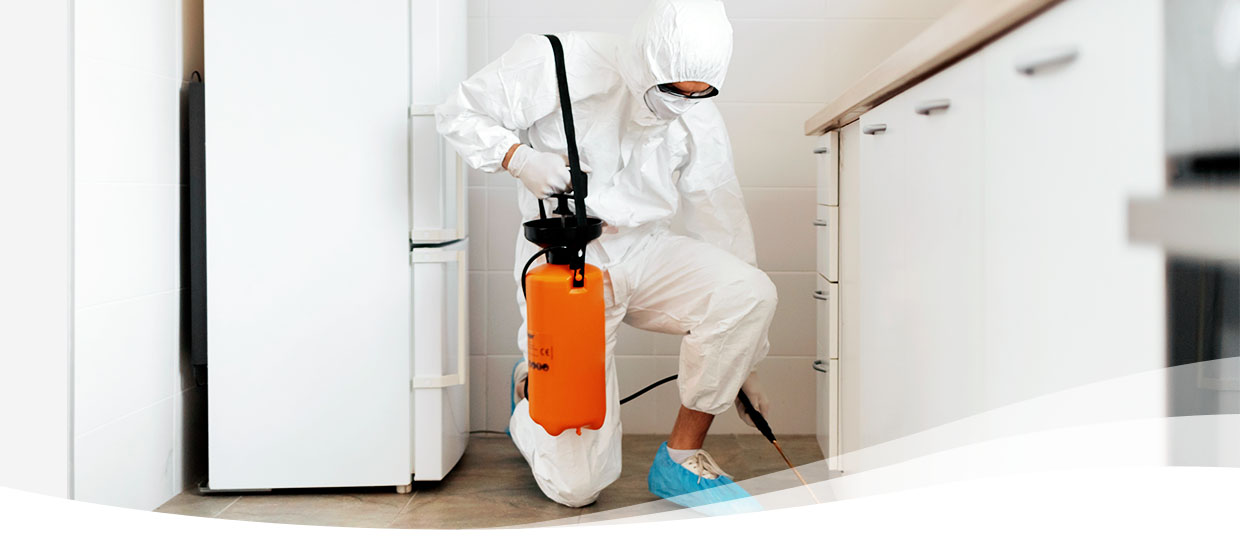 8 Reasons to Hire a Professional Pest Control Company