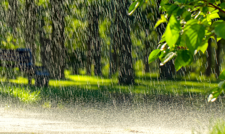 Mosquito Control, Pest Control and “Bad” Weather