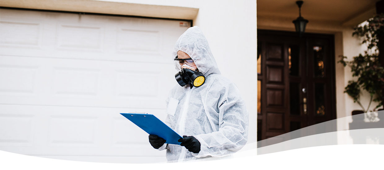 8 Things to Consider When Hiring a Pest Control Company