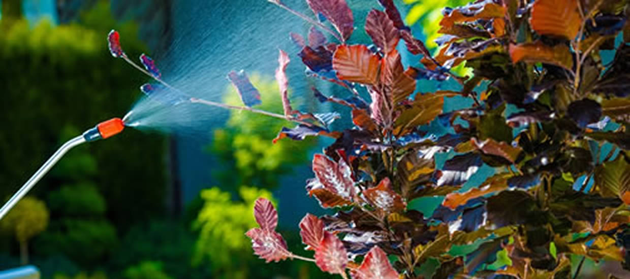 The 7 Most Common Home Pest Control Mistakes
