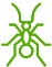 ants icon