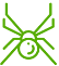 spider icon