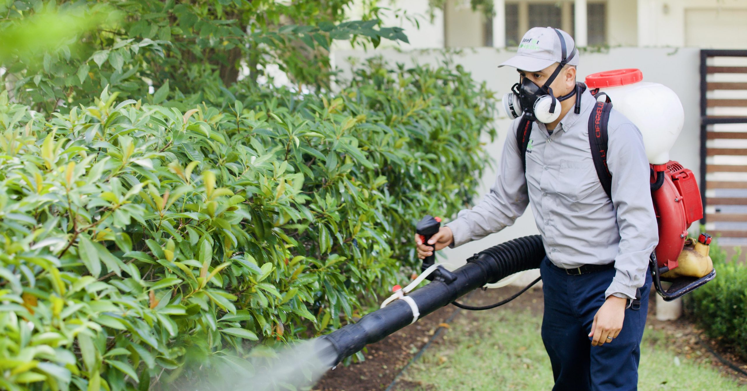 Mosquito Misting Systems vs. Manual Mosquito Control