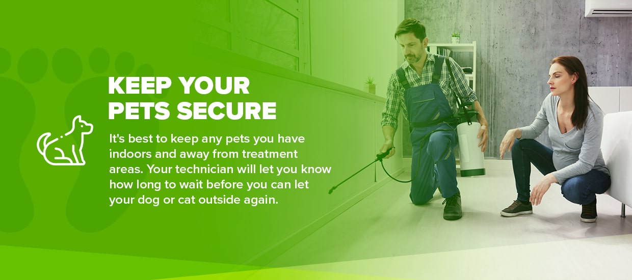 keep your pets secure