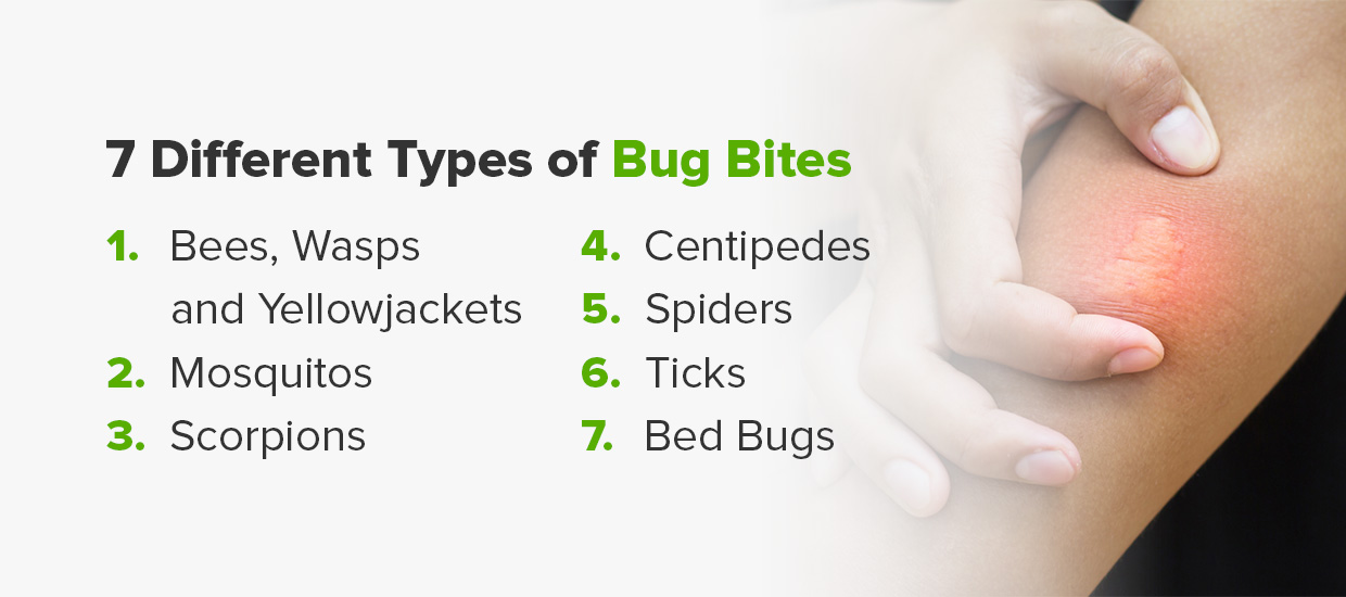 types of bug bites