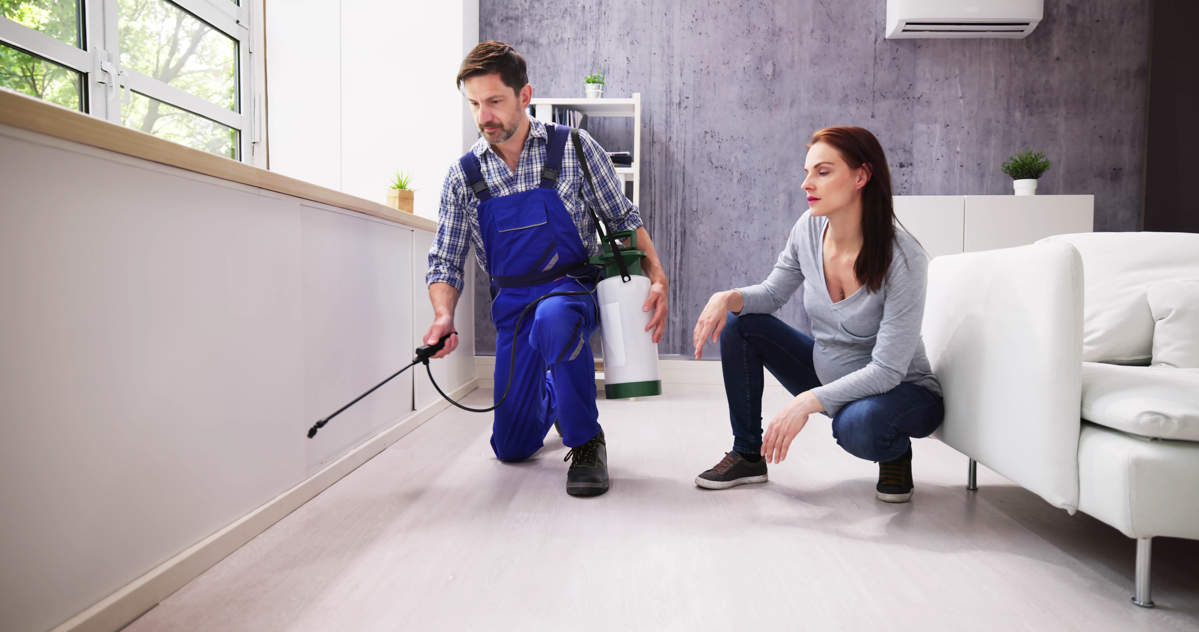 How to Prepare Your Home for Pest Control Services